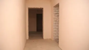 СС (29)