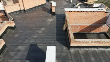 сс (12)
