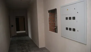 сс (29)