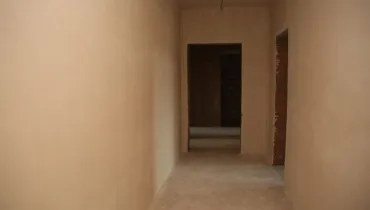 сс (41)