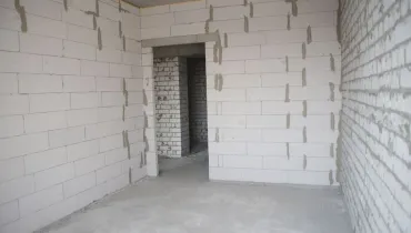 сс (51)