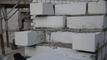 сс (54)