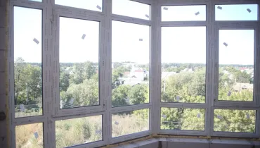 СС (31)
