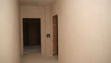 СС (7)