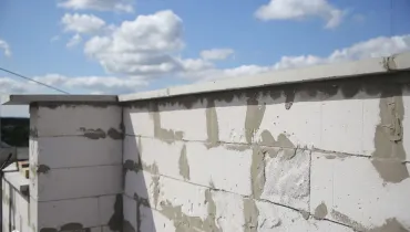 сс (14)
