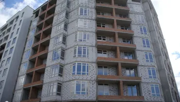 сс (30)