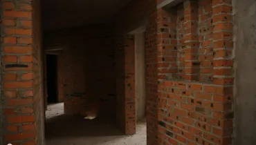 СС (54)