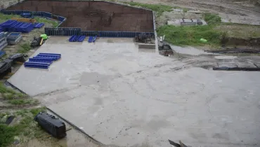 СС (12)