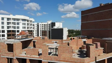 СС (55)