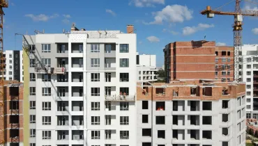 СС (56)