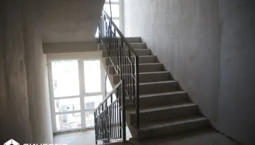СС (46)
