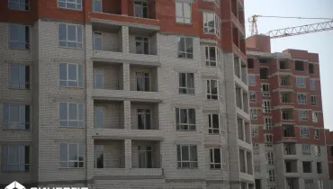 СС (55)