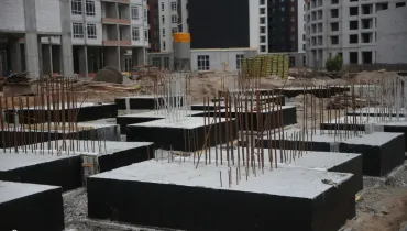 СС (36)