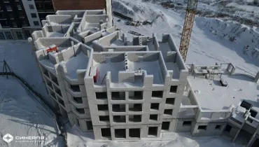 сс (24)
