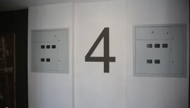 сс (53)