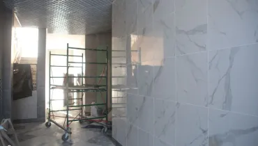 сс (55)