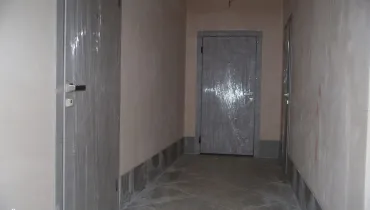 сс (59)