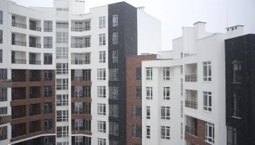 СС (1)