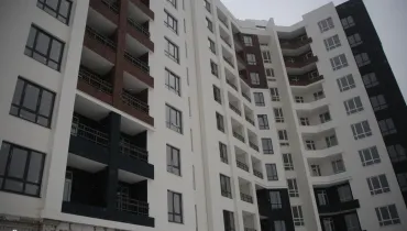 СС (25)