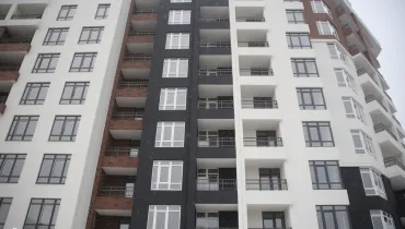 СС (48)