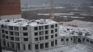 СС (7)