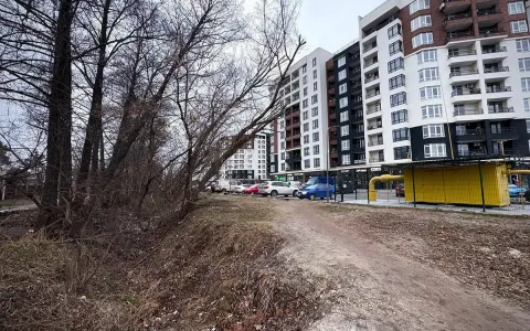 Синергия-Сервис приводит чистоту вокруг ЖК Синергия Сити