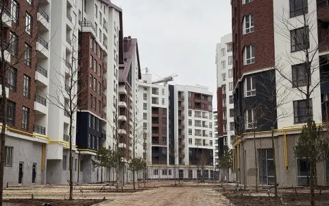 Новый променад в ЖК Синергия Сити зазеленеет и расцветет уже этой весной
