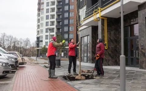 Продолжаем создавать качественное благоустройство в ЖК Синергия Сити