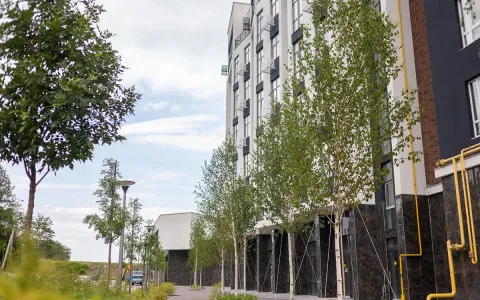 Качественное благоустройство в деталях: в курортном городке Синергия Сити создали новые зеленые зоны