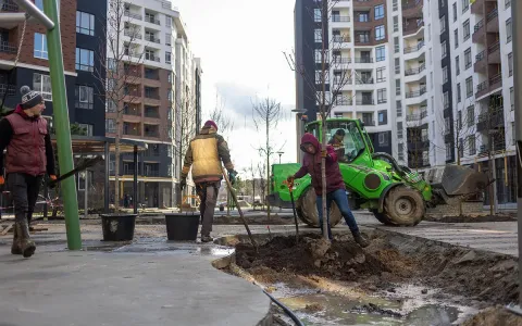 Во двор-саду ЖК Синергия Сити закончили первый этап озеленения – высадили деревья