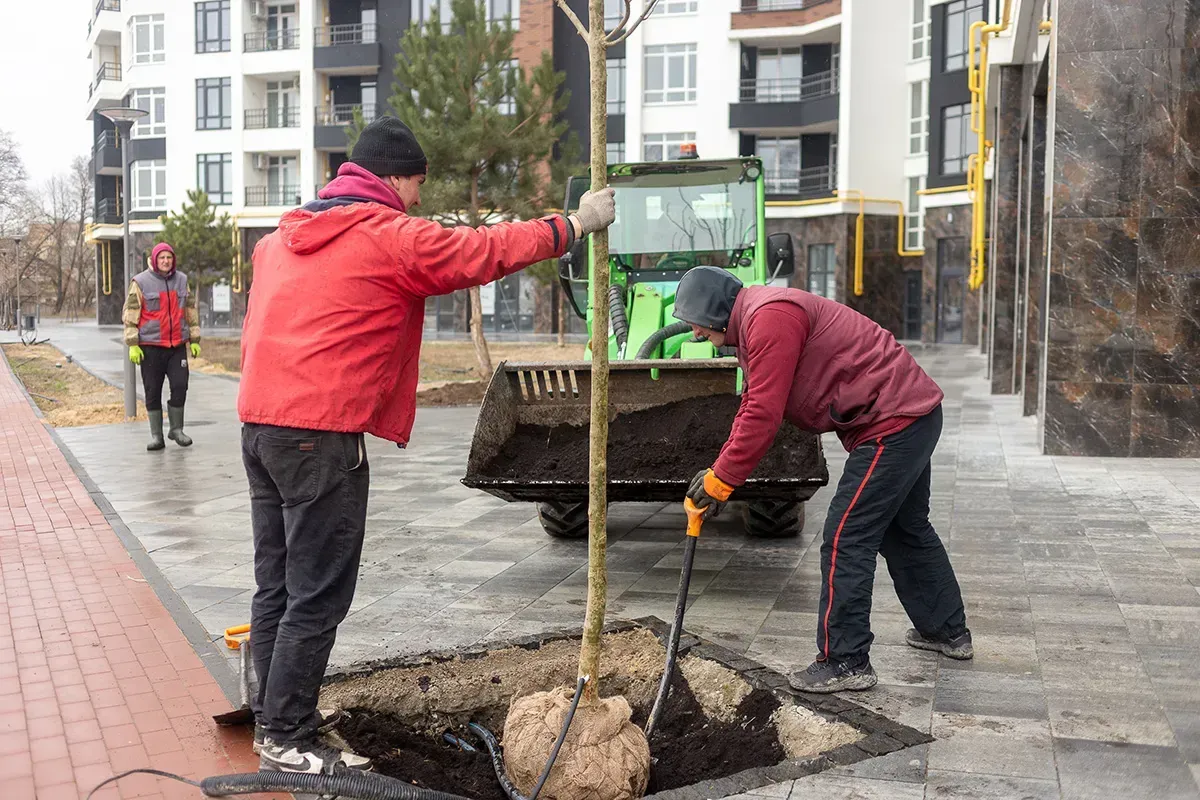 Продовжуємо втілювати якісний благоустрій в ЖК Синергія Сіті - 1