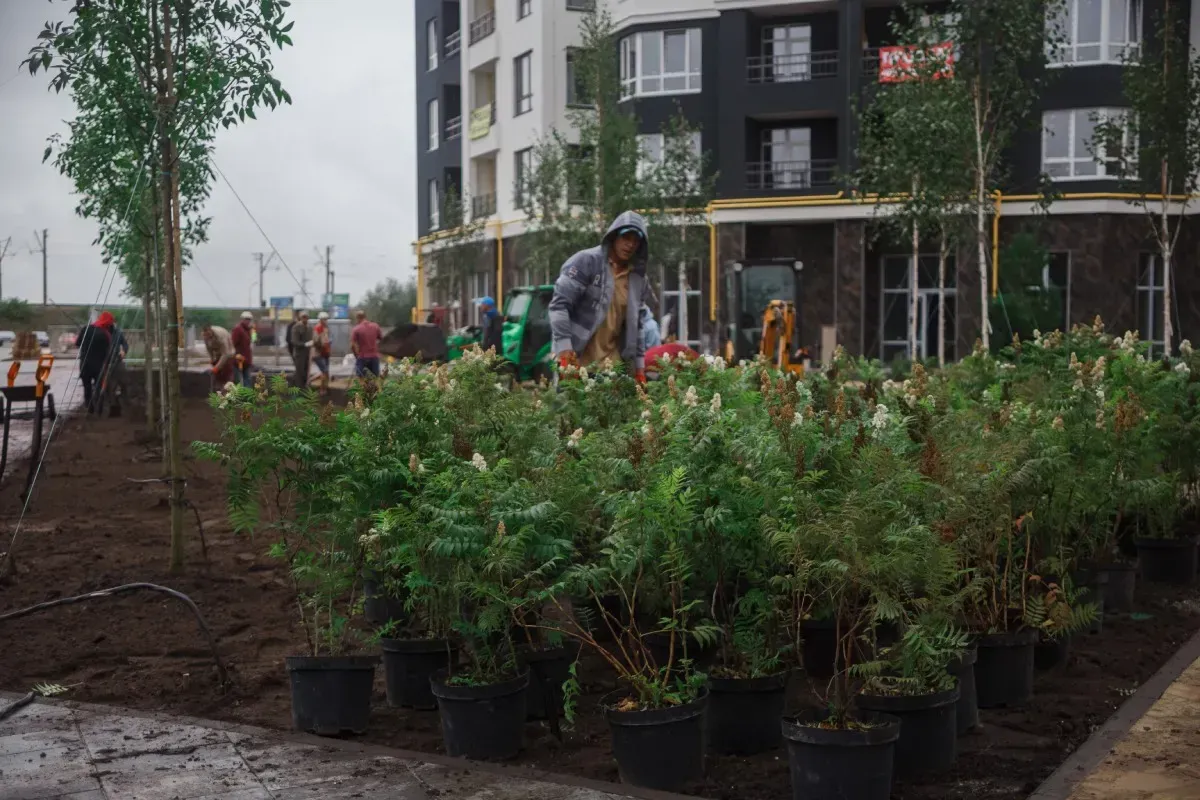 Продовжуємо ландшафтні роботи в сквері ЖК Синергія Сіті: тут висаджуємо нові дерева та кущі - 1